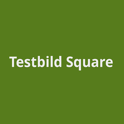 testbild links editor